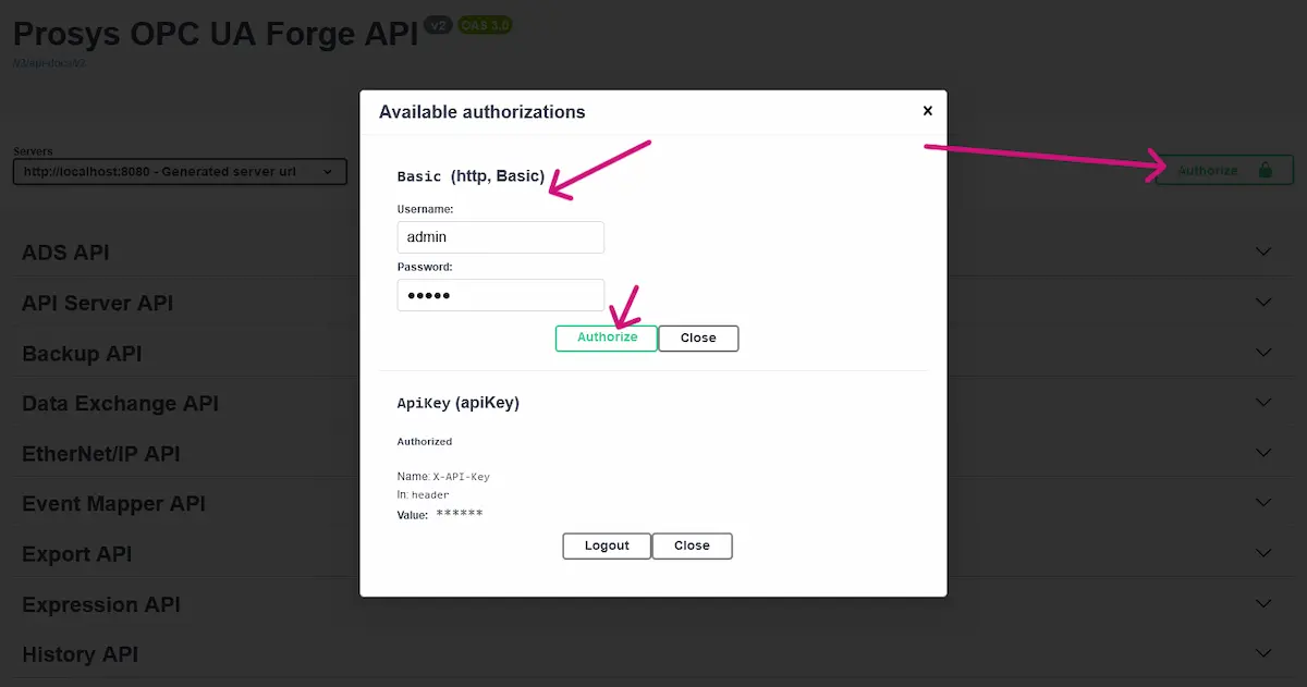 Authorize swaggerUI with user credentials.